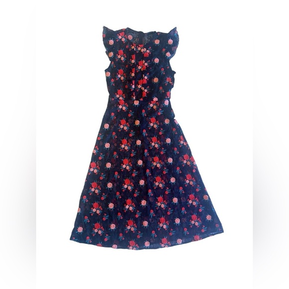 NWT Zara Rose Embroidered Lace Overlay Midi Dress - sz XS - Picture 1 of 14